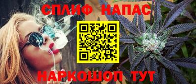spice Славгород