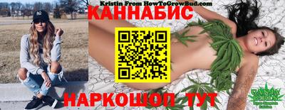 spice Славгород