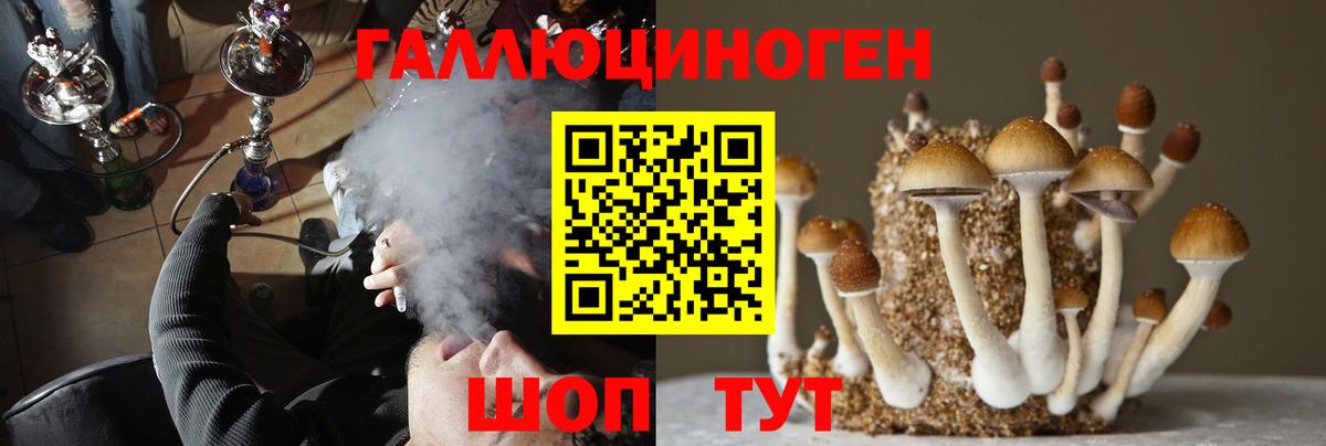 Галлюциногенные грибы MAGIC MUSHROOMS  Вход с VPN  Похвистнево 